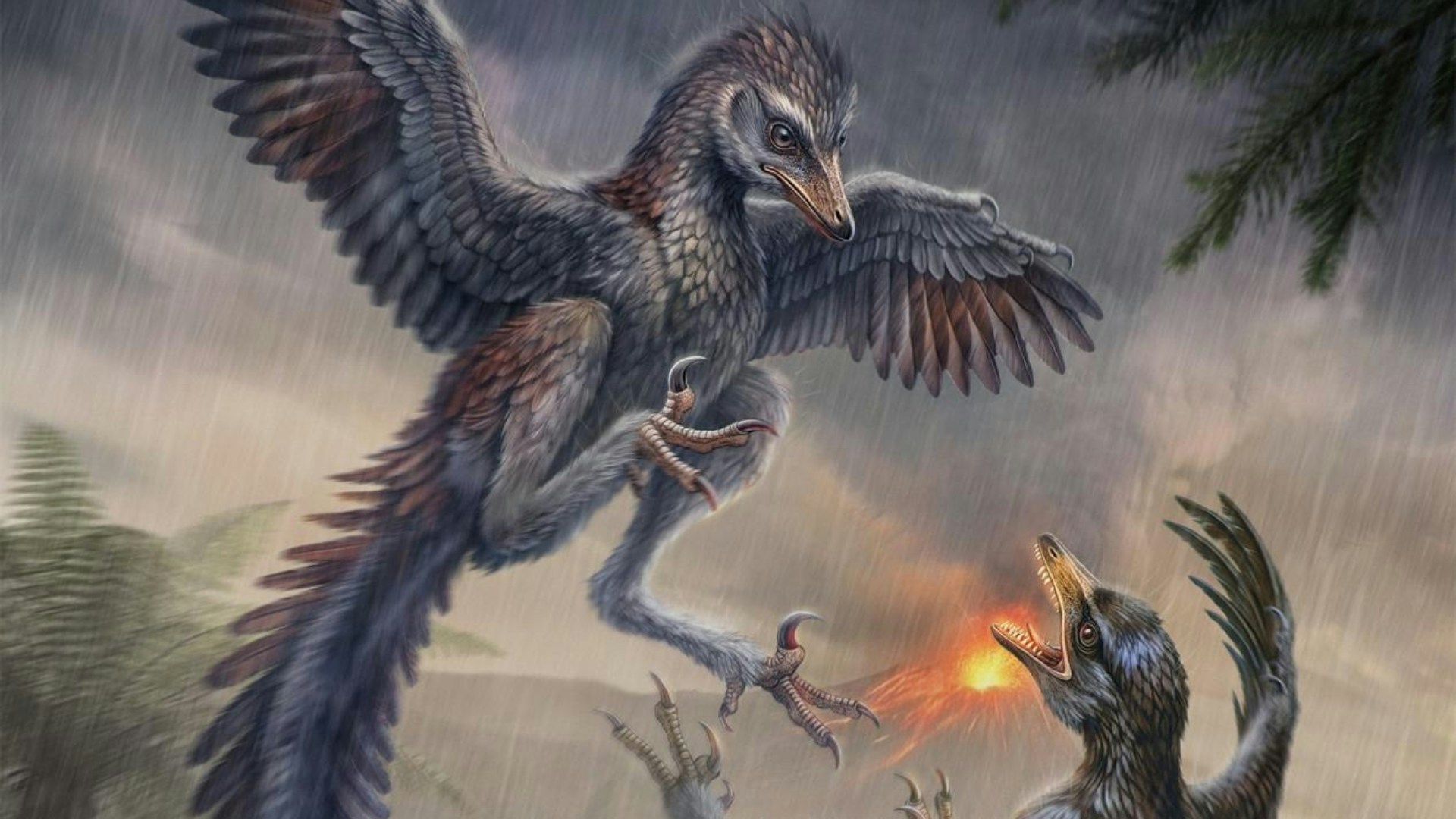 Paleoart reconstruction of the new species as a ground-running feathered bird. Photo: HK01