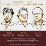 Karl Deisseroth, Peter Hegemann and Georg Nagel share the 2026 Nobel in Physiology or Medicine for light-controlled neurons. On Chinese platforms the award opened a week of prize-watching with a familiar argument underneath: what the Nobels do and don't measure.