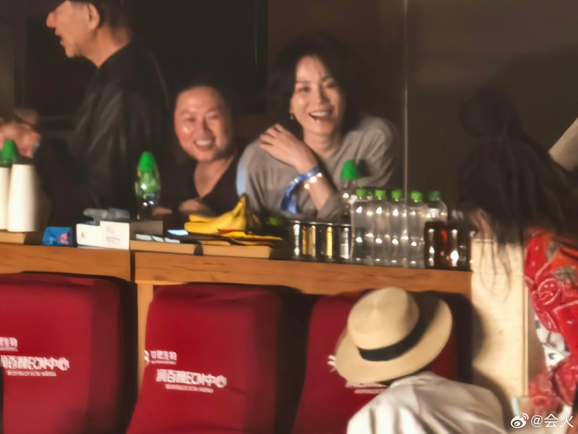 In a moment Weibo can't stop replaying, reclusive pop icon Faye Wong showed up at Na Ying's Beijing concert — and Na Ying, mid-show, declared 'Faye Wong, I love you!' from the stage. The surprise appearance by one of Chinese pop's most elusive legends has eclipsed everything else on the list.