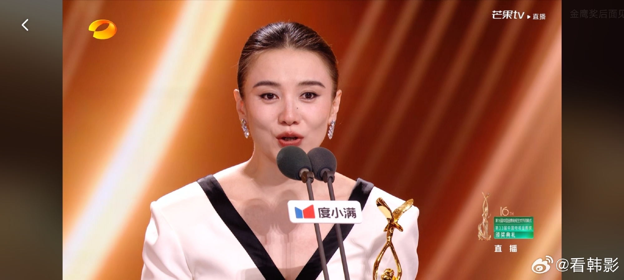 Television's Big Night: 'Life Tree' and Song Jia Top China's Golden Eagle Awards
