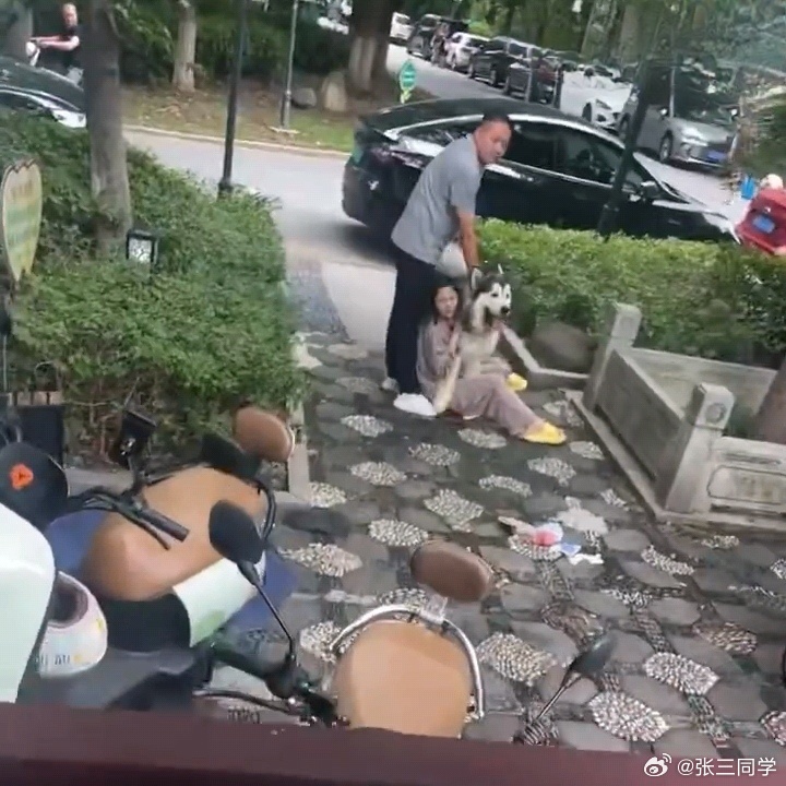 Two toddlers in a Suzhou housing compound were bitten by an unleashed large dog this week, reigniting a familiar Chinese argument about owners who refuse to use a leash. The attack — captured on security footage and shared in a post liked more than 2,700 times — comes at a moment when the country's pet-owning boom has outpaced its rules, and enforcement still runs far behind.
