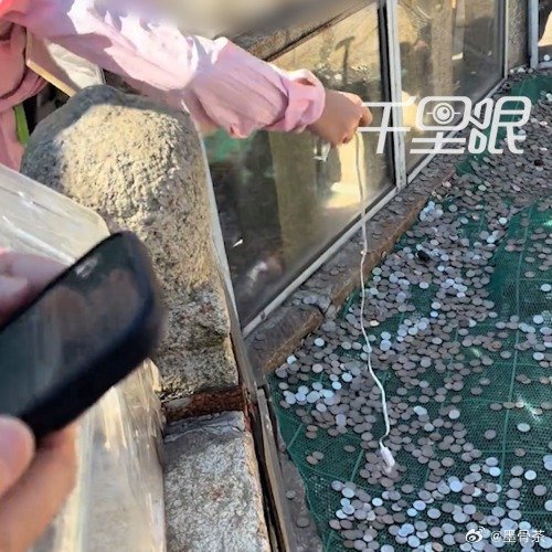 Children With Magnetic Cables Are Fishing Coins Out of Mount Tai's Wishing Pool