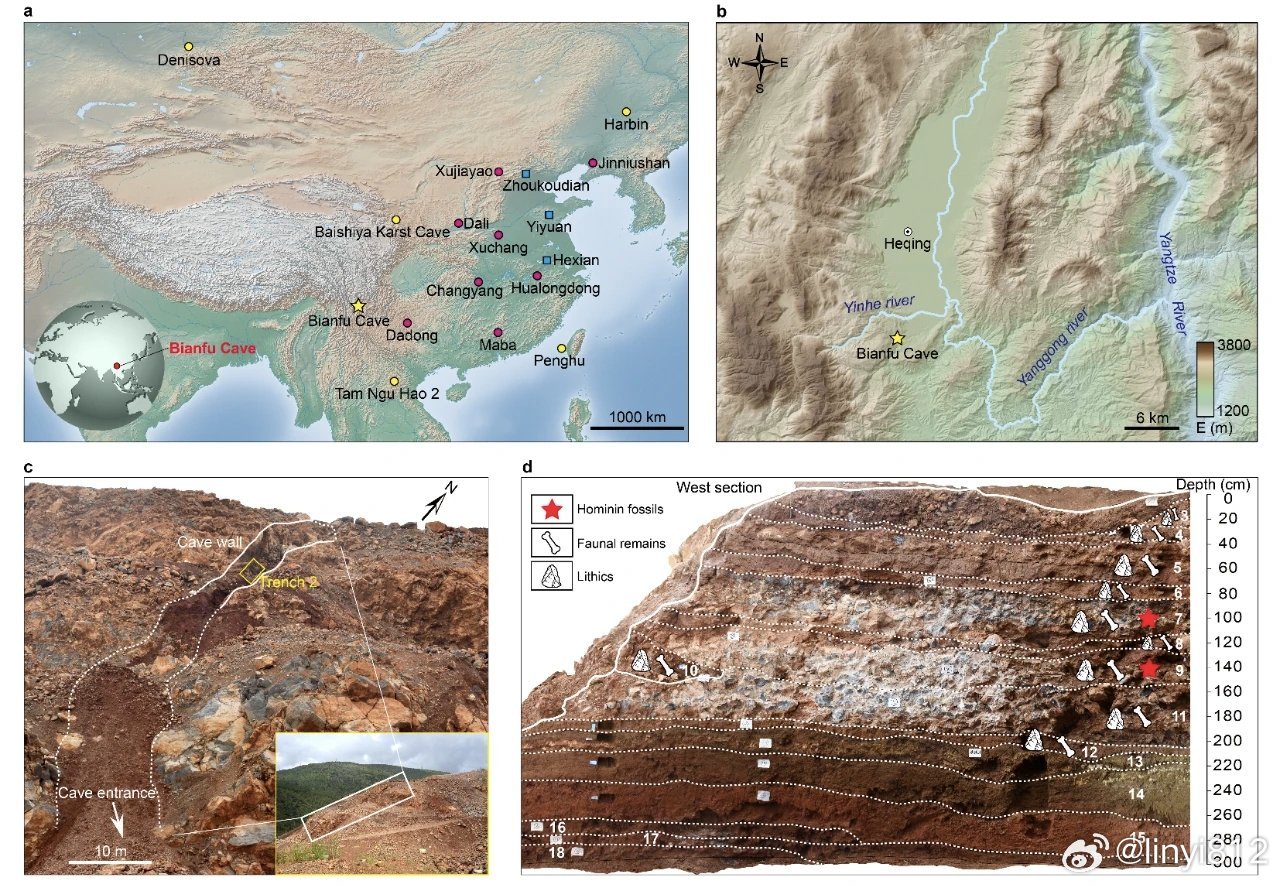 Scientific figure from the Nature studies showing the Bat Cave site location in Yunnan, the cave entrance, and the excavation stratigraphy marking where hominin fossils were found. Photo: @linyi812