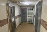 Two reclusive brothers in their fifties were found dead in a Hong Kong estate flat, weeks apart, after the younger brother — the elder's sole contact with the world for over twenty years — died suddenly. The case has become a cross-border conversation about hidden households, ageing alone and care networks one person deep.