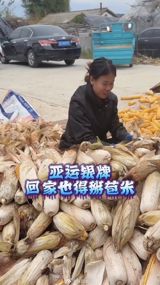 China's October holiday overlaps with the corn harvest in the northeast, and this year the annual homecoming labor turned into a trending phrase about feeling “the world split in two” between AI-era office life and a field of maize. The trend's most celebrated participant is a fresh Asian Games silver medalist who spent her holiday shucking corn on camera.