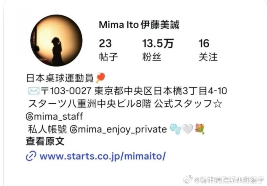 Ito's Instagram, scrubbed of table tennis: the bio now lists no sport at all. Photo: @精神病院派来的猴子