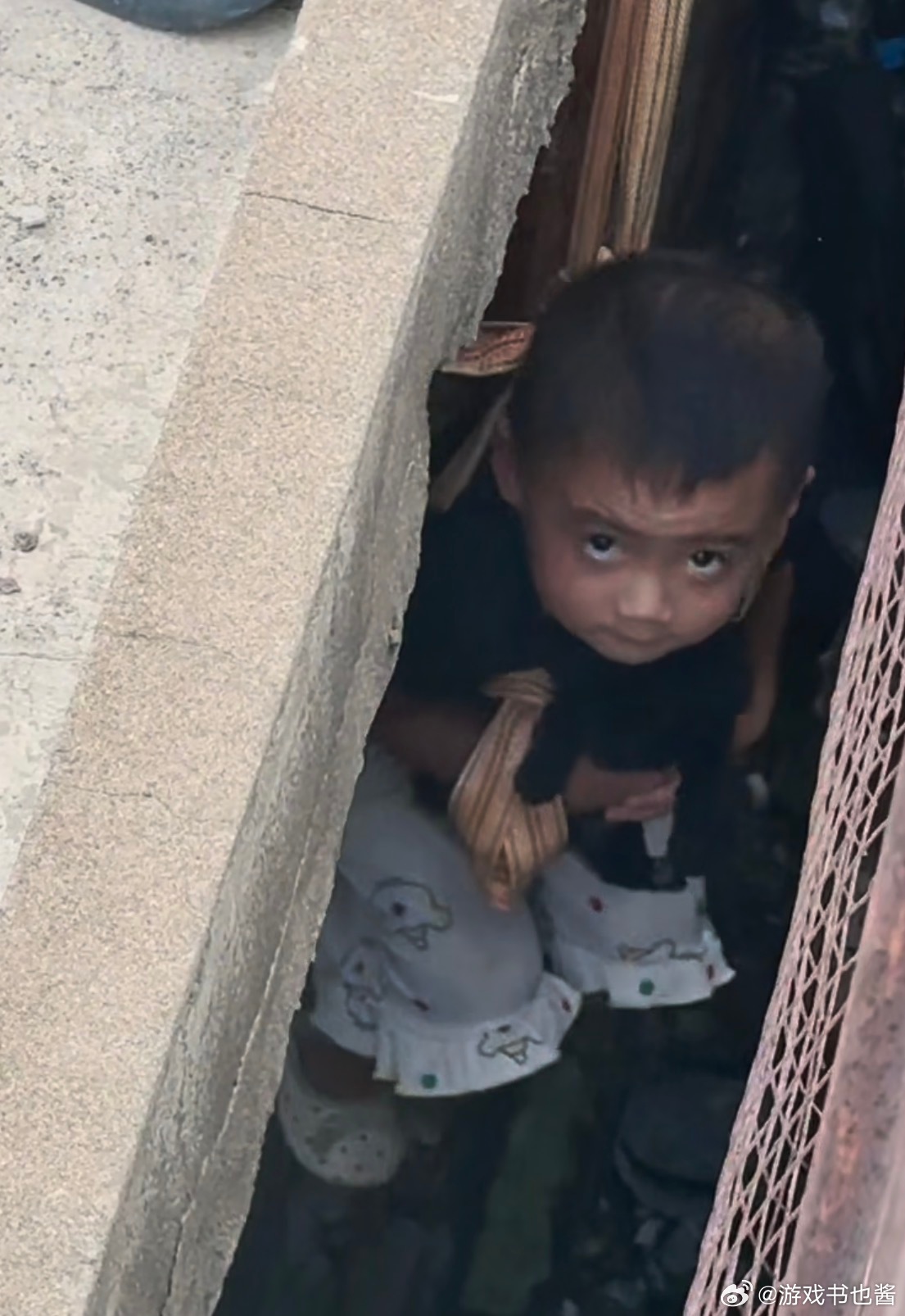 Chinese Father Lowers His Daughter From a Bridge to Rescue a Puppy