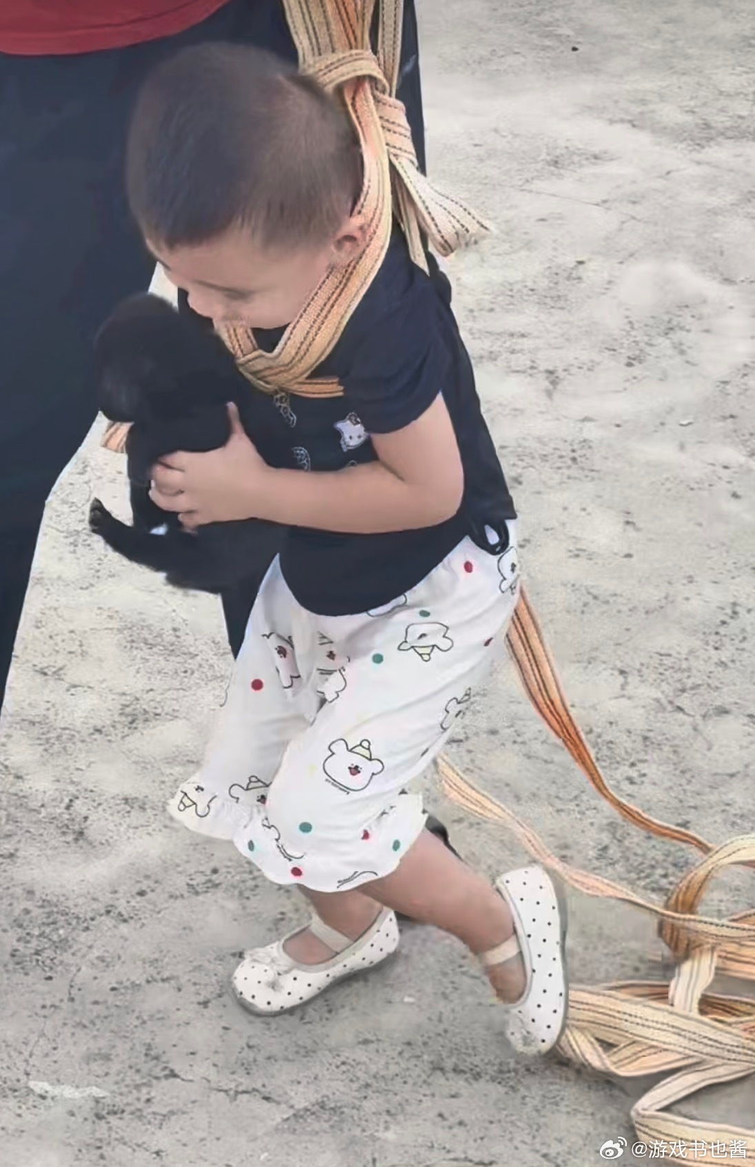 A toddler in a rope harness holds the rescued puppy on the bridge. Photo: @游戏书也酱
