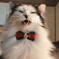 Rejected After an Unpaid Interview Pitch, a Chongqing Candidate Got 1,000 Yuan for His Trouble