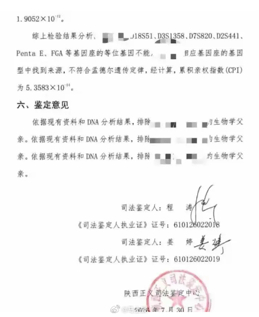 Why Chinese Courts Won't Call the Wuxi Embryo Case Bigamy