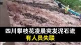A mudslide triggered by overnight rain struck near Zhiliuhe Village in Yanbian County, Panzhihua, early on September 19, leaving five people missing as rescue teams and a provincial work group moved into the mountains of Sichuan's south.