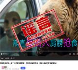 A video of a brown bear begging from tourists at a Xinjiang scenic area alarmed millions this week until park officials confirmed nothing of the kind ever happened — every frame was AI-generated.