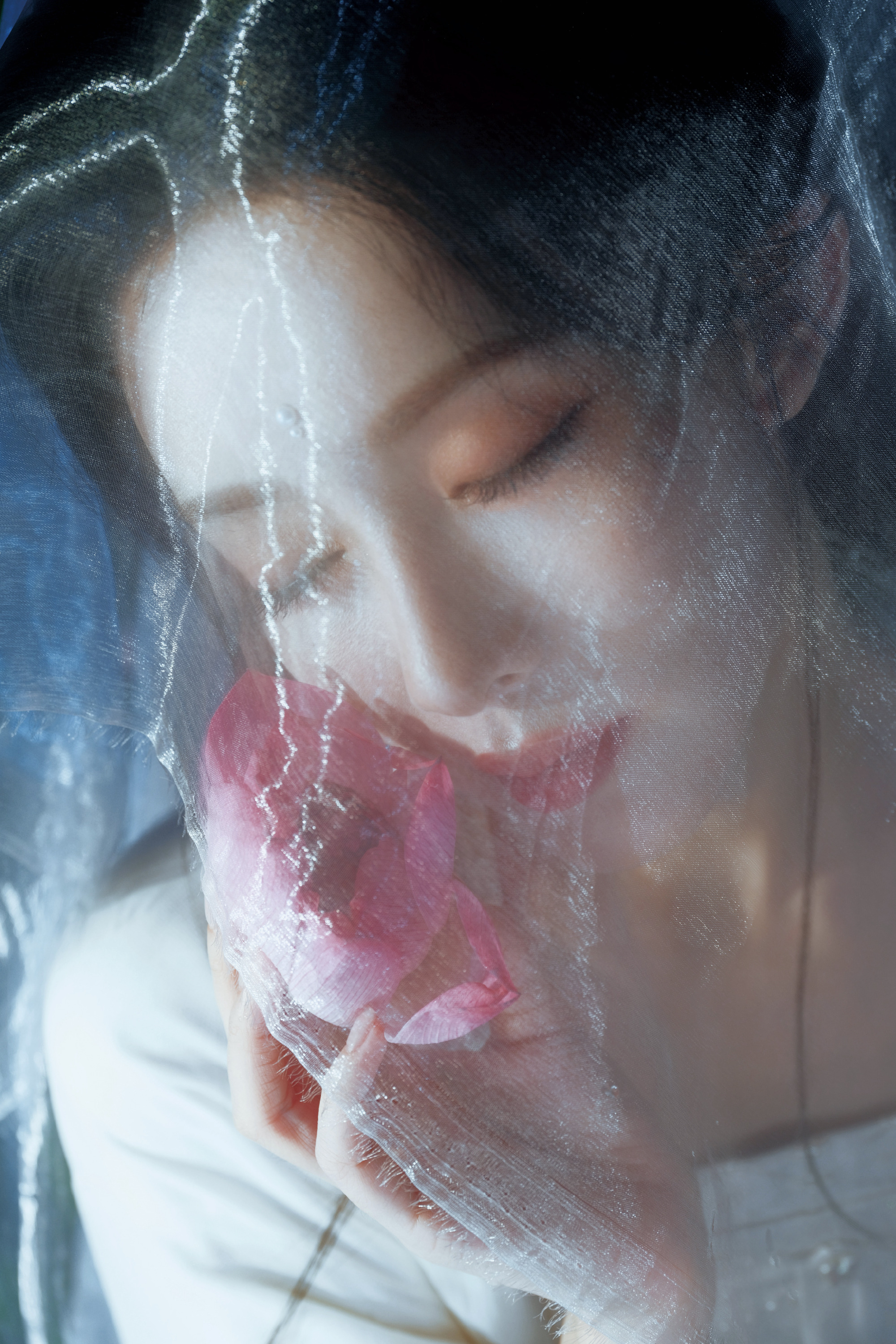 A close-up from the drama's veil-and-lotus photoshoot. Photo: @孟子义