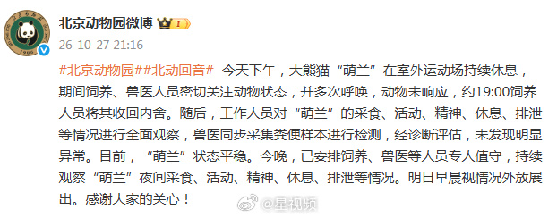Panda Watch: Beijing Zoo Reassures Fans After Meng Lan Stops Responding to Keepers