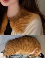 A Chinese womenswear brand pulled a fur-collar coat after shoppers spotted its own label admitting the 'flower brown' version was 100% tabby cat fur. The episode has opened a wider argument about fur sourcing, labeling honesty, and what China's animal-welfare rules do not cover.