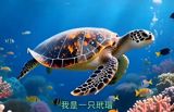 A man identified in Chinese media as Wei Shang, a diving instructor, was intercepted at an Indonesian airport trying to leave the country as the Raja Ampat regency filed formal evidence over the filmed shooting of a critically endangered hawksbill turtle. He denies being the man in the video.