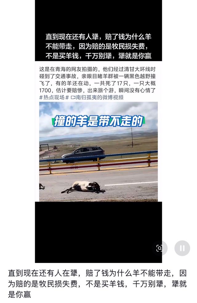 He Paid 84,800 Yuan for the Sheep He Killed. He Still Couldn't Take Them Home.