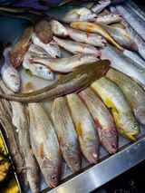 Baidu's trending board is asking how a country manages to produce seafood from places as far from the ocean as it is possible to be. The answer - desert-edge prawn ponds in Xinjiang, salmon in the Tianshan foothills, shrimp in Shaanxi salt lakes - says a lot about China's food security instincts.