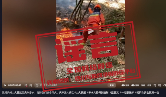 A video still about a forest fire, stamped with the red "rumor" label by the platform. Photo: @全国网络辟谣