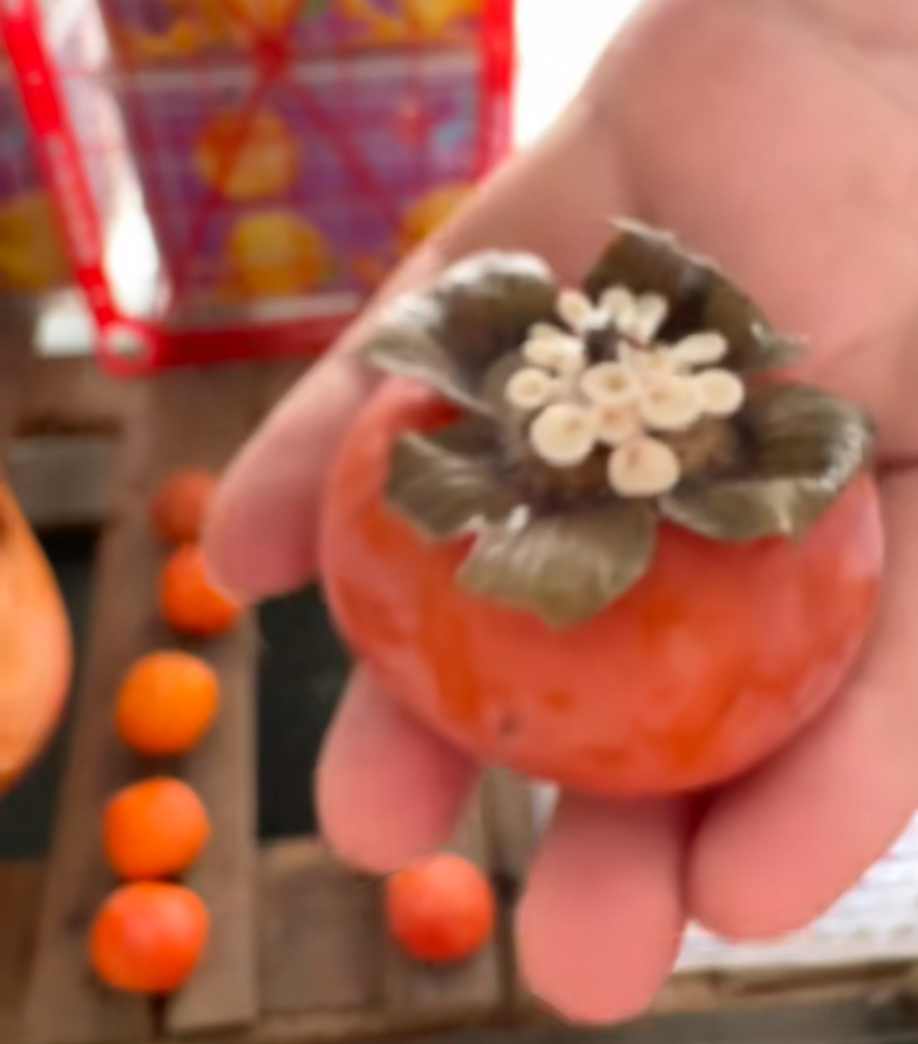 A Supermarket Persimmon Sprouted Mushrooms, and China Called It 'Good Persimmon, Many Mushrooms'