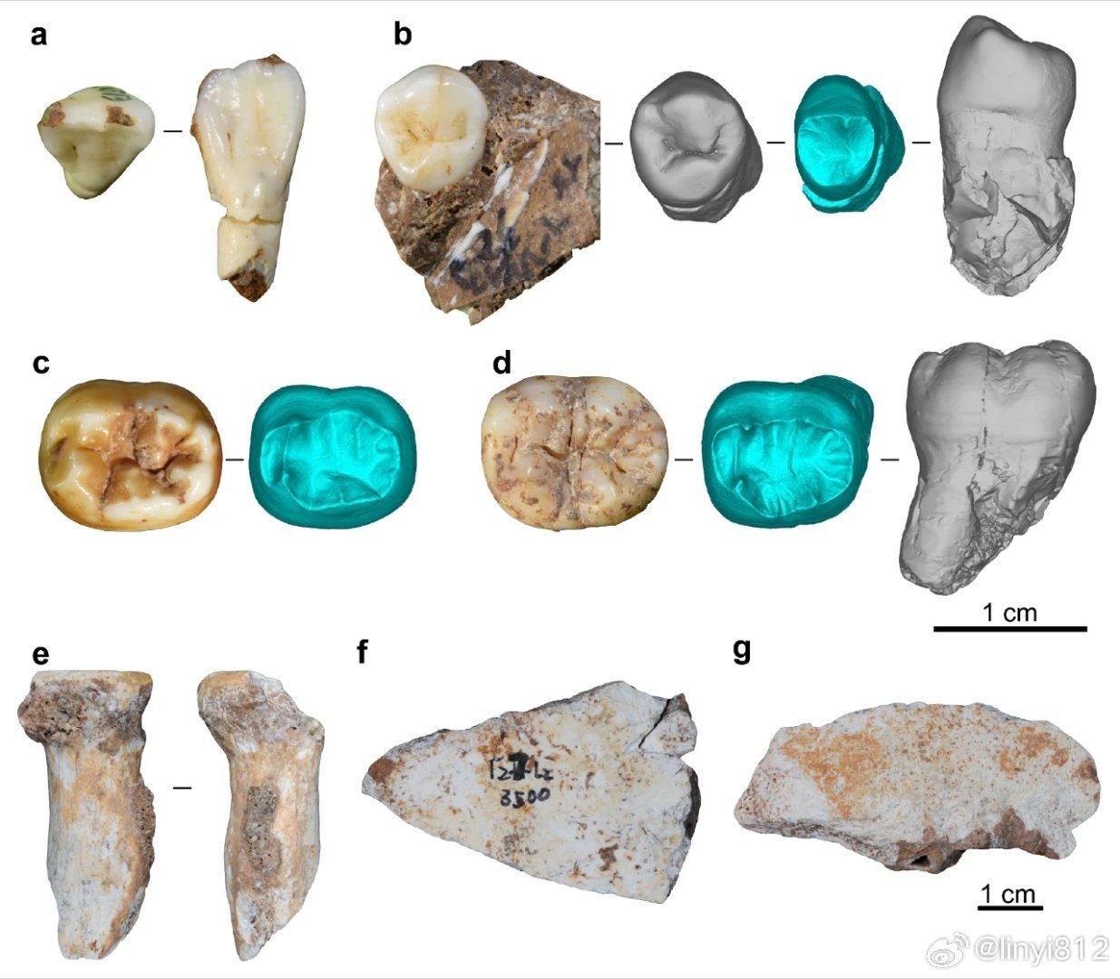 Denisovans Lived in China's Southwest 160,000 Years Ago, Two Nature Studies Confirm