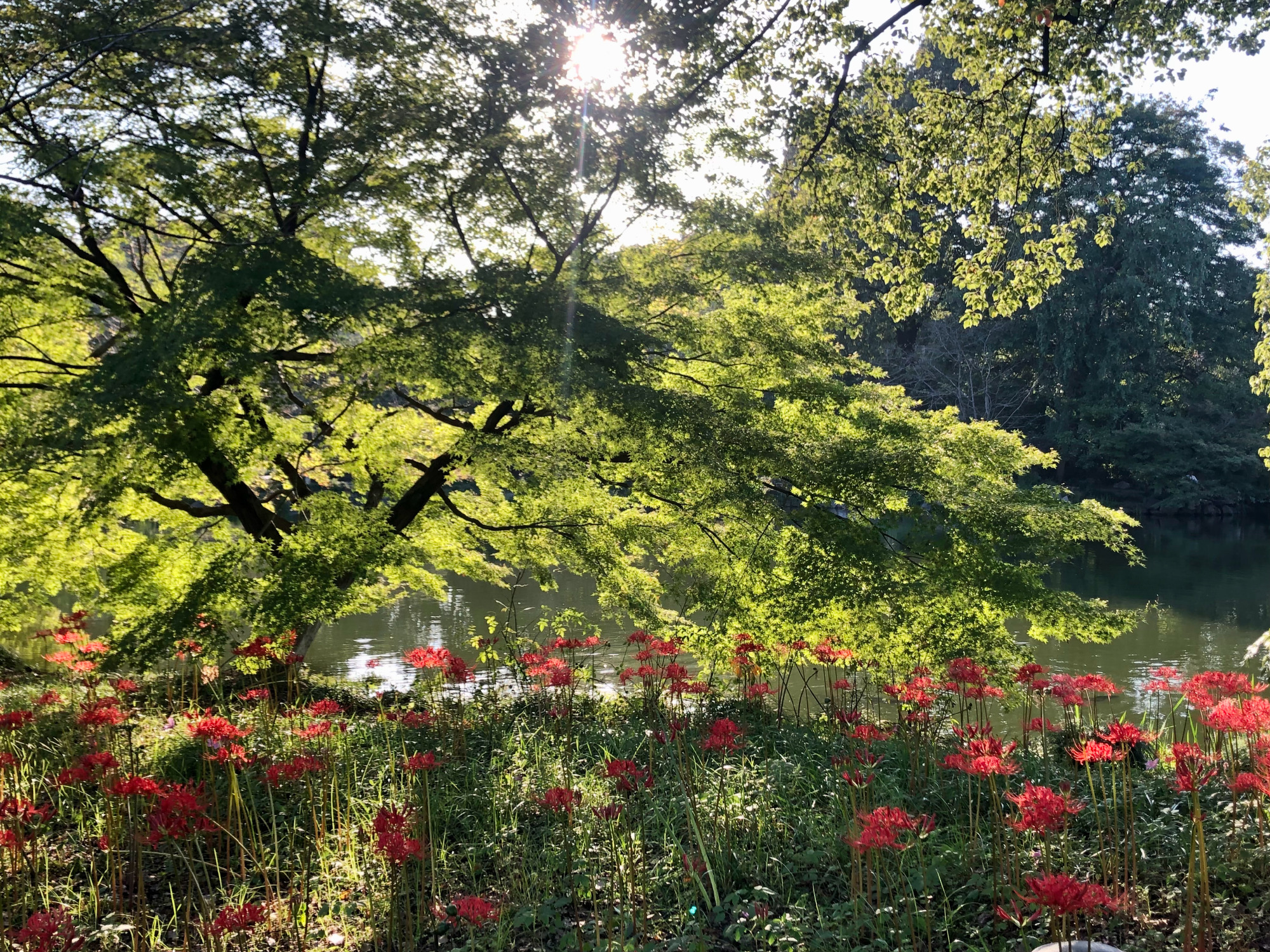 Why China Puts Its Farmers' Holiday on the Autumn Equinox