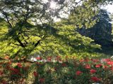 The autumn equinox doubles as China's Farmers' Harvest Festival, created in 2018 and marked this year with presidential greetings, a state-television harvest tour — and a reminder that a strengthening El Niño will bend the season ahead.