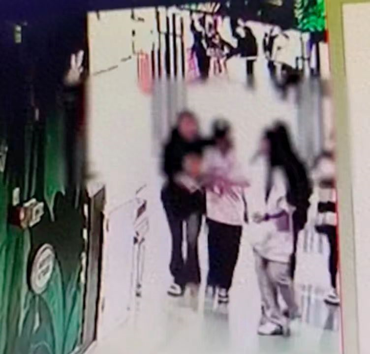 Teen Assailant Linked to 14 Cases Sparks Debate on Juvenile Delinquency and Parenting