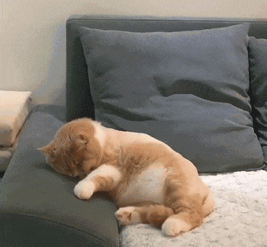 A Foolproof Method to Sleep Through the Night