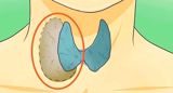 A recent case has highlighted the potential health risks faced by full-time mothers, sparking widespread concern about their physical and mental well-being. A 32-year-old woman, who has chosen to remain anonymous, was diagnosed with a malignant thyroid nodule after visiting the hospital due to a persistent sore throat. As a full-time mother of two young children, aged 4 and 7, her daily life was marked by sleep deprivation, with only about 3 hours of rest per night, and a hectic schedule that left her with little time for self-care.