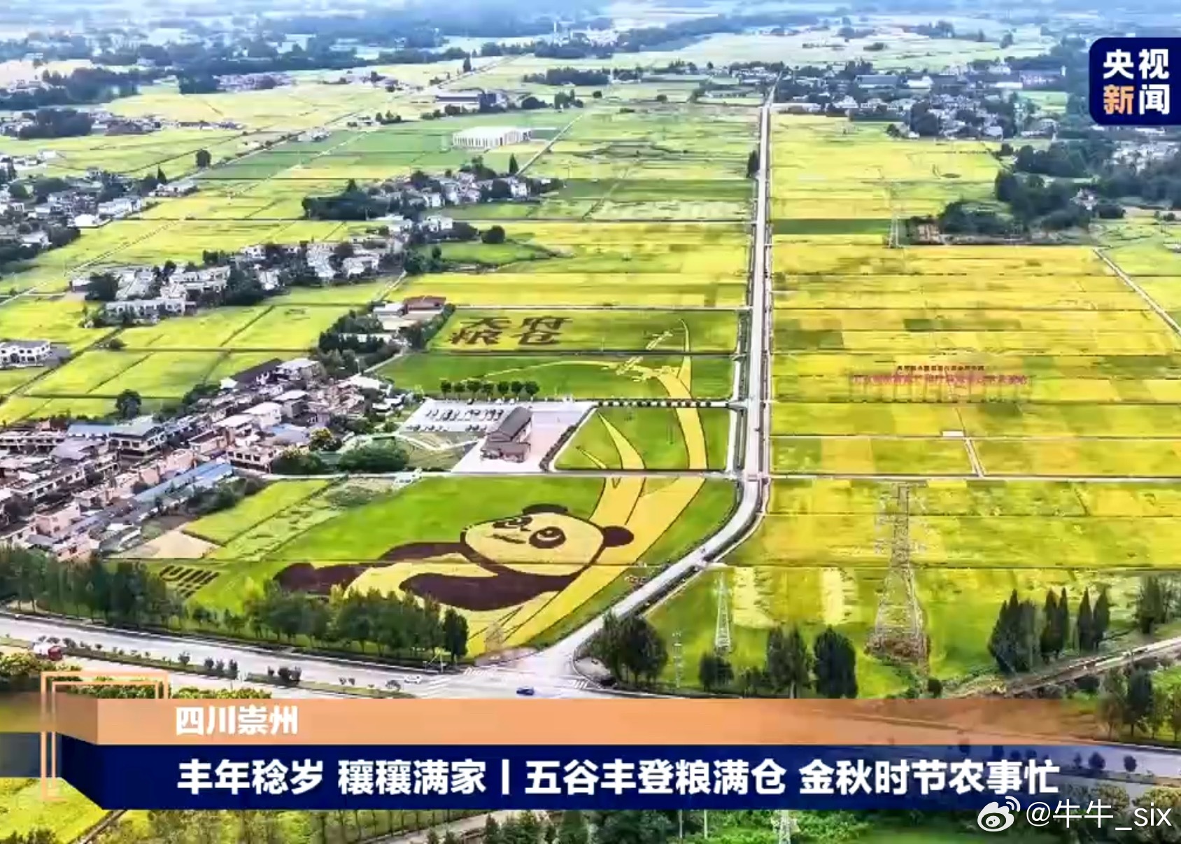 Across China’s sprawling countryside, autumn has turned the harvest season into a living canvas, and the nation’s most popular social‑media platform, Weibo, is buzzing with praise for what many are calling the most beautiful picture the country can offer. The phrase that has captured the imagination of netizens – “丰收的田野是最美的画卷,” loosely rendered as “The harvested fields are the most beautiful painting” – has become a rallying cry of gratitude, pride, and hope, weaving together stories of golden rice swaying in the wind, red maple leaves in the hills of Sichuan, and the gleam of modern irrigation channels in the arid terraces of Gansu.
