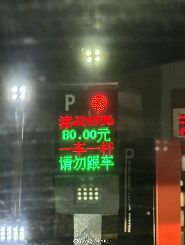 Glitch Gives Woman $8,830 Parking Shock
