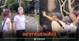 A disturbing video circulating on social media has sparked widespread outrage in Thailand, with many calling for stricter measures to be taken against tourists who engage in animal abuse. The footage, which has been viewed over 1 million times, shows a group of tourists, believed to be Chinese nationals, using slingshots to shoot at animals at the Green Hill Wildlife Sanctuary, which is also known as Khao Kheow Open Zoo, in Chonburi Province.
