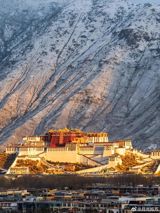 The phrase “西藏在长大,我也在长大,” roughly translated as “Tibet is growing, and I am growing too,” has surged across Chinese social media in the months leading up to 2025, the 60th anniversary of the Tibet Autonomous Region’s founding. What began as a simple slogan on Weibo has blossomed into a collective narrative that intertwines the region’s monumental transformation with the personal journeys of its residents, former inhabitants, scholars and observers alike.