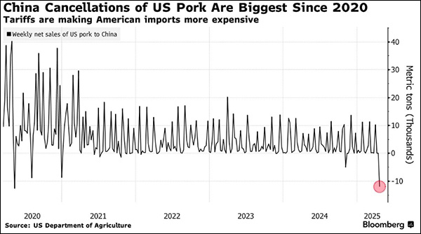 China Cancels 12,000-Ton US Pork Order, Dealing Blow to US Export Market