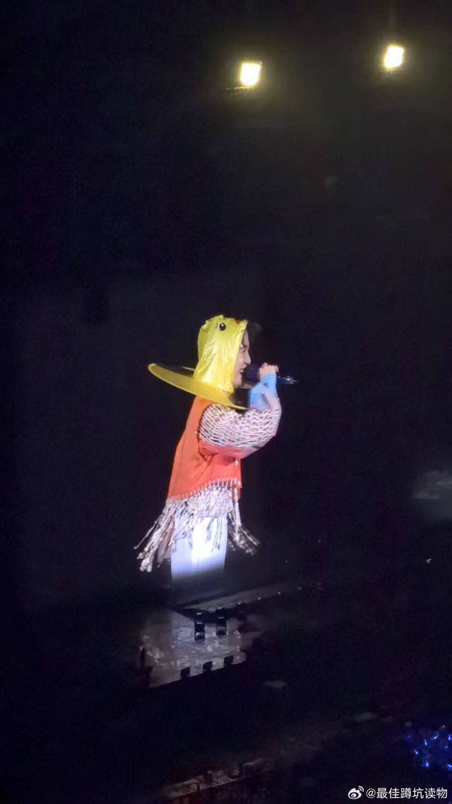 Zhōu Shēn's Quacking Fashion Statement: How a Yellow Duck Raincoat Sparked a Conversation on Consumer Culture