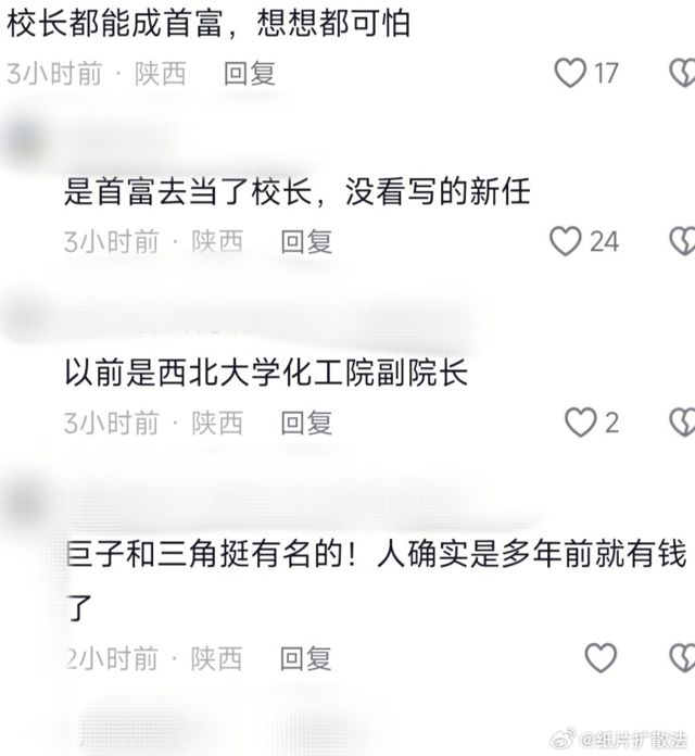 NWU Vice President Fan Daiyi Becomes Shaanxi's Richest Person, Sparking Debate