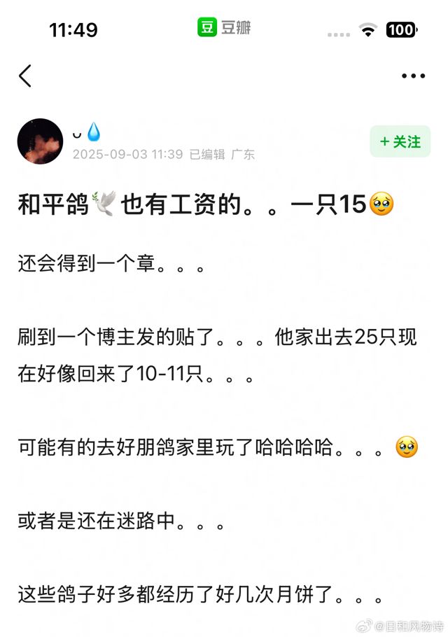 “Peace Doves Get Paid”: Chinese Dove Release Sparks Viral “Doves Have Salaries” Trend on Weibo