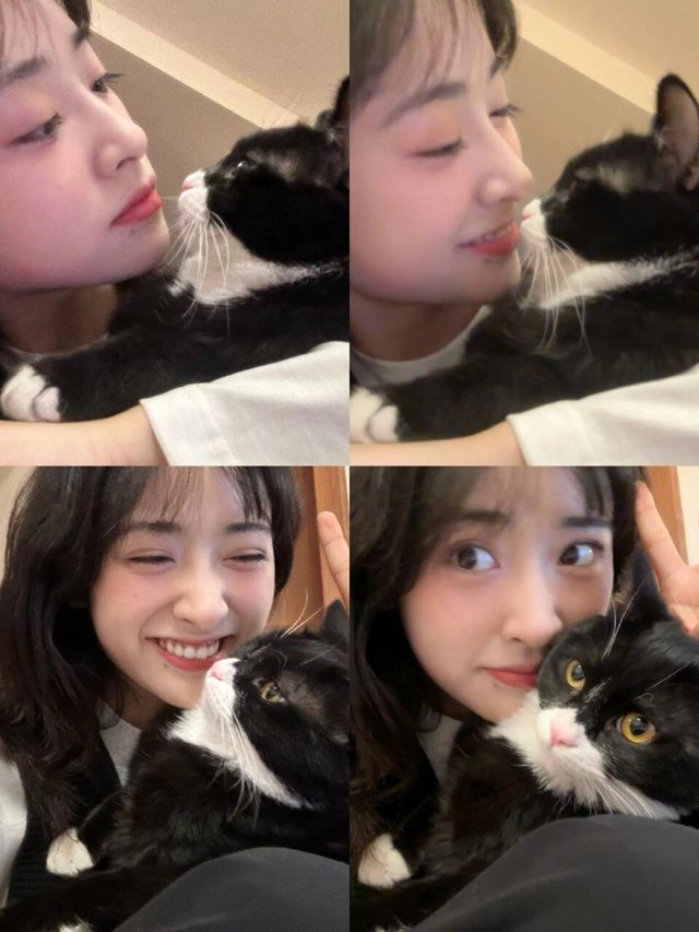 Shen Yue Mourns the Loss of Her Beloved Cat, Sesame