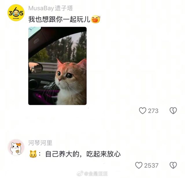 Ouyang Nana's Heartwarming Reaction to Sister's Stage Performance Goes Viral