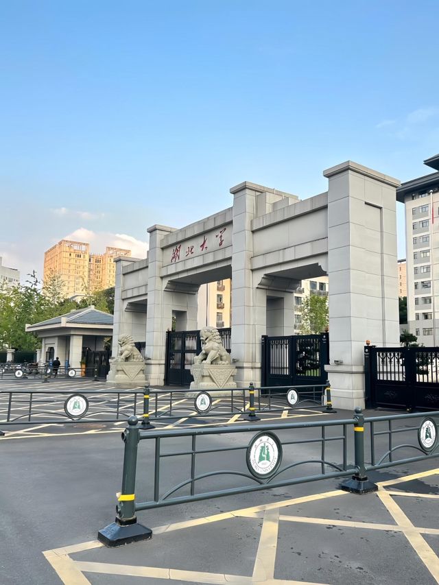 Missing Hubei University Student Sparks Outrage Over School's Handling of Disappearance