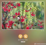 As China enters the final year of its "Fourteenth Five-Year" plan, the country is poised to showcase its confidence to the world through a series of events and initiatives. The theme of "2025奋进中国" (Moving Forward with China in 2025) emphasizes the nation's commitment to reform, openness, and collaborative progress. This pivotal moment in China's development trajectory is marked by a strong emphasis on "实干笃行" (practical and solid actions), signaling a shift towards tangible, results-driven policies and projects.
