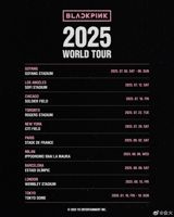 The recent announcement of BLACKPINK's 2025 world tour has sent shockwaves of excitement among fans. The news has been met with eager anticipation and enthusiastic support, particularly for Jisoo's solo stage and her upcoming drama and movie projects. Fans are eagerly awaiting the opportunity to see Jisoo perform solo, with some even expressing their hopes for her to break sales records as the first female solo artist from Korea to sell over 2 million physical albums. Additionally, many are looking forward to her new drama "New Utopia" and movie "The Melo," which promise to bring fresh and exciting storylines to the screen.