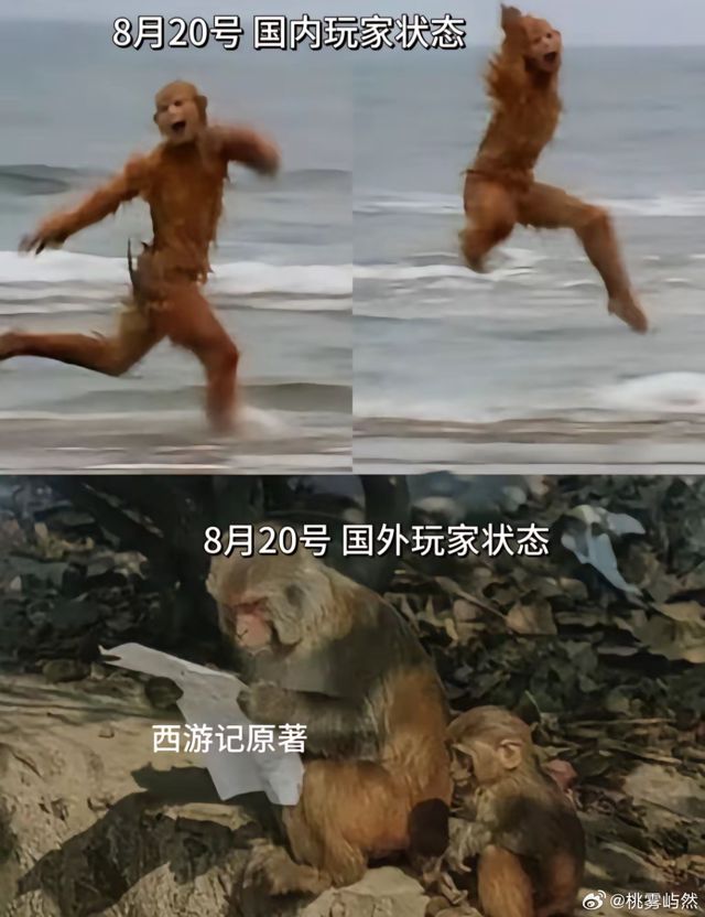From Gaming to Classic Literature: 'Black Myth: Wukong' Sparks Global Interest in 'Journey to the West'