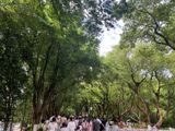 In the heart of China, a recent incident at the picturesque Orange Isle, also known as Juzizhou, in Changsha, has highlighted the vulnerability of the tourism industry to extreme weather events while also showcasing the compassion and resilience of the local community. When heavy rainfall hit the area, the scenic spot was forced to close, and a mini-train at the site made headlines by opening its doors to provide shelter to walking tourists caught in the downpour. This act of kindness was widely praised on social media, with many hailing it as a demonstration of "Changsha's warmth and responsibility."