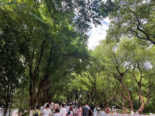 Compassion Amidst the Storm: Orange Isle Incident Highlights Climate Resilience in China's Tourism Industry