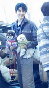 In the vibrant world of entertainment, where celebrities and their daily lives are under constant scrutiny, a heartwarming moment involving Dong Sicheng and Zhou Yueran has captured the attention of fans worldwide. The image of Dong Sicheng holding Zhou Yueran's dog has not only showcased the affectionate side of these celebrities but has also highlighted the special bond they share, both with each other and with their pets. As part of the broader tapestry of Chinese entertainment, which includes popular music from artists like Jennie and engaging dramas, this moment stands out for its simplicity and genuine warmth.