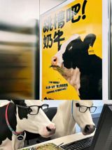 The recent advertisement campaign by Chinese dairy brand 认养一头牛 (Adopt a Cow) has sparked controversy, with many taking to social media to express their dissatisfaction. The ads, which feature slogans such as "COWS直聘, 找工作, 直接跟老板哞" (COWS recruitment, find a job, directly with the boss) and "跳槽吧! 奶牛, 听说你们场晒不到太阳?" (Jump ship! Milk cow, I heard you can't get sun in your field?), have been criticized for allegedly mocking workers and potentially infringing on the intellectual property rights of recruitment platform Boss直聘.