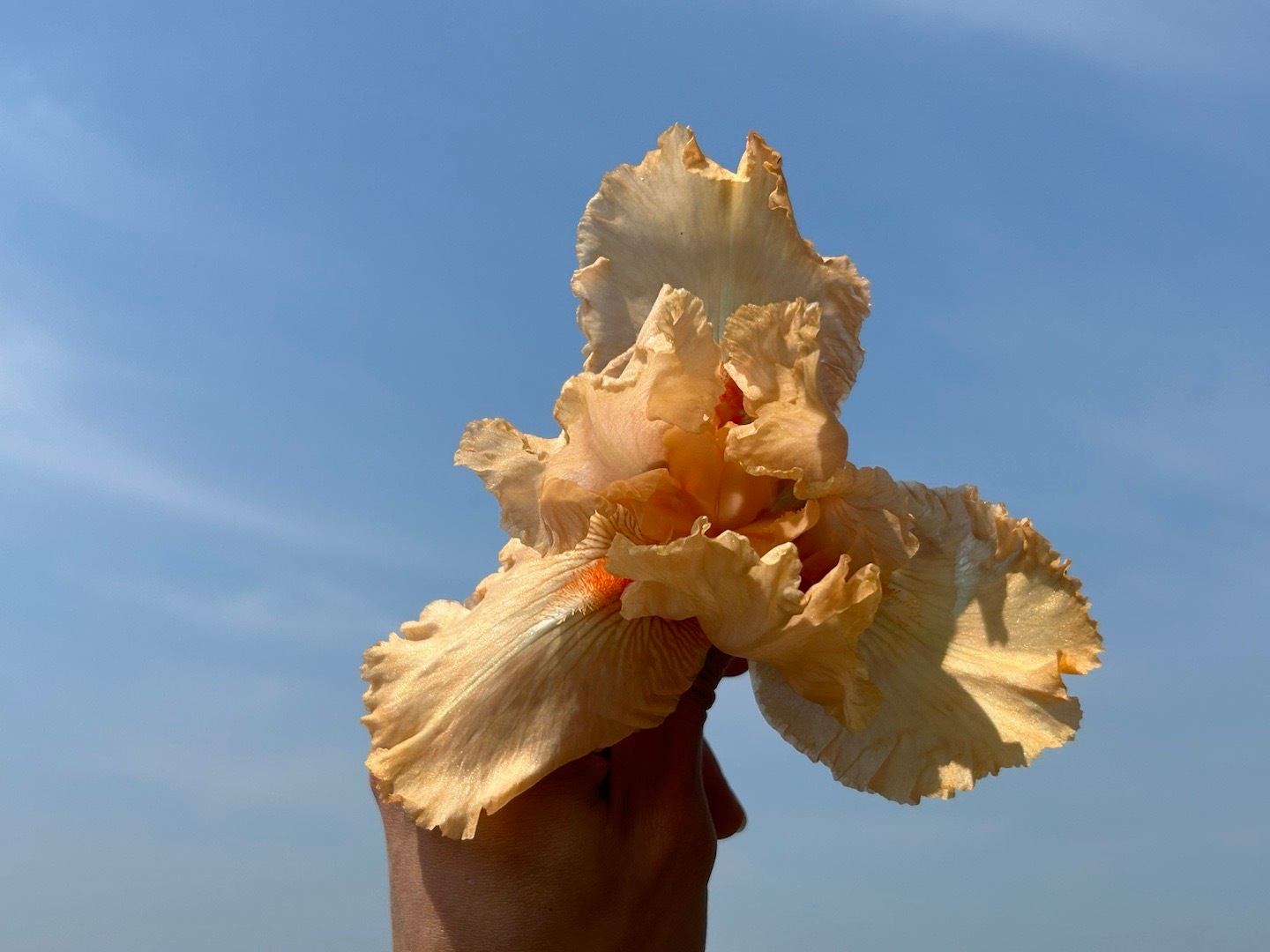 How Long Should You Practice Spring Preservation?
