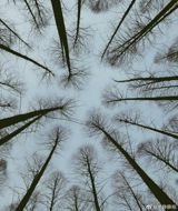 An 8‑year‑old boy with autism died while taking part in a summer camp in the Cangshan mountains of Dali, Yunnan Province, and his body was recovered only a kilometre away from the spot where he disappeared. The grim discovery, made on the evening of August 13, 2025, has ignited a firestorm of public anger and a broader over the safety of special‑education programmes, the standards that govern them, and the role of government oversight in protecting China’s most vulnerable children.